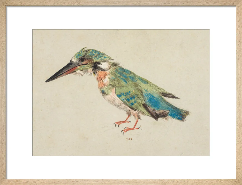 Italian School, Kingfisher
