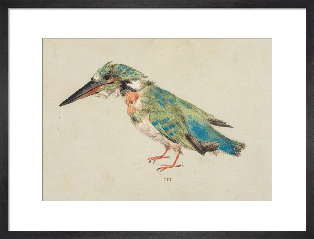 Italian School, Kingfisher