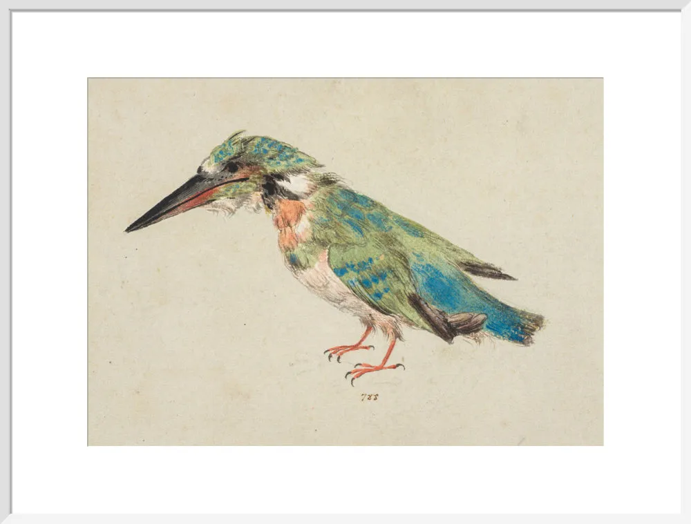 Italian School, Kingfisher