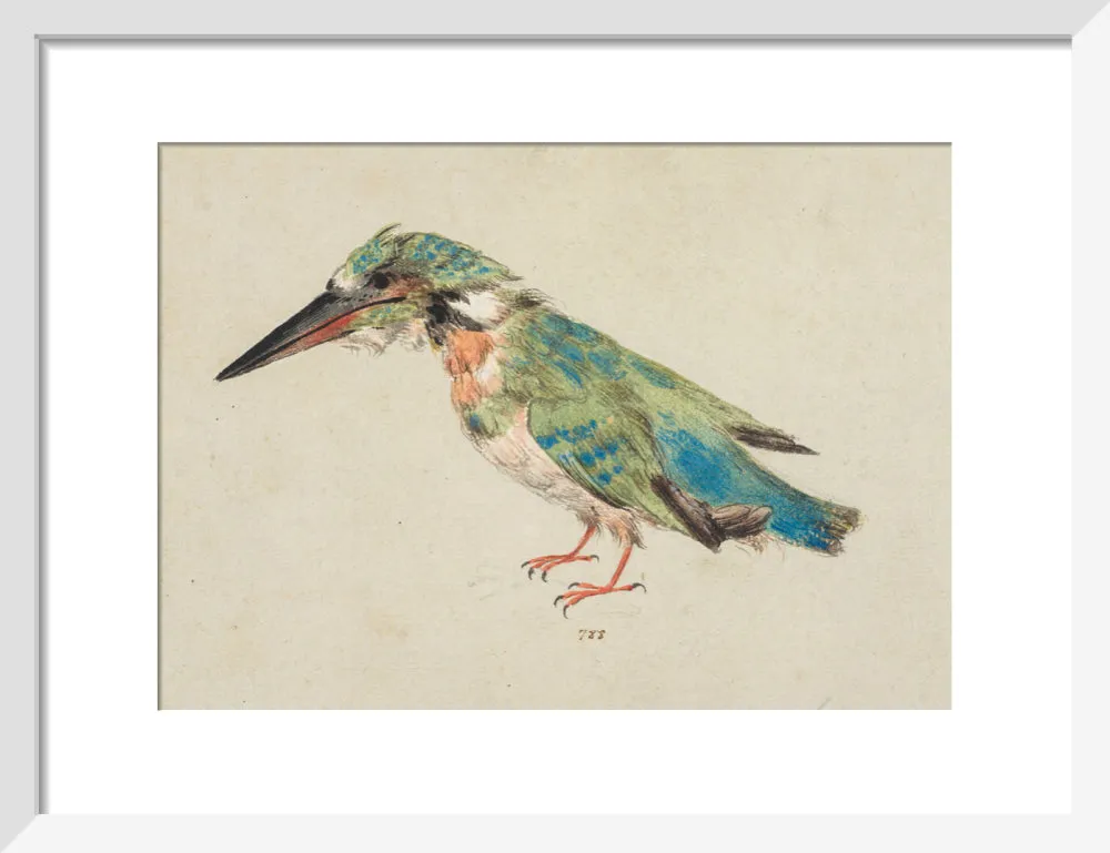 Italian School, Kingfisher
