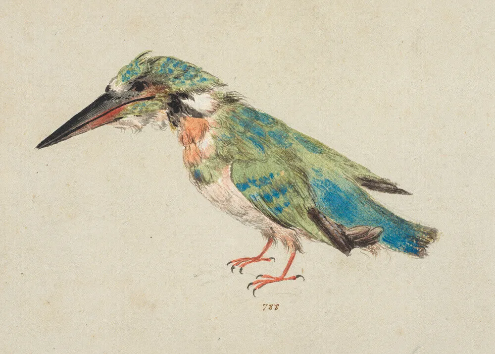 Italian School, Kingfisher