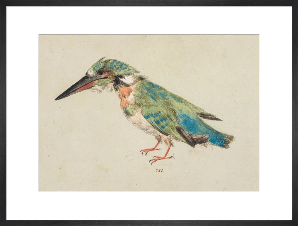 Italian School, Kingfisher