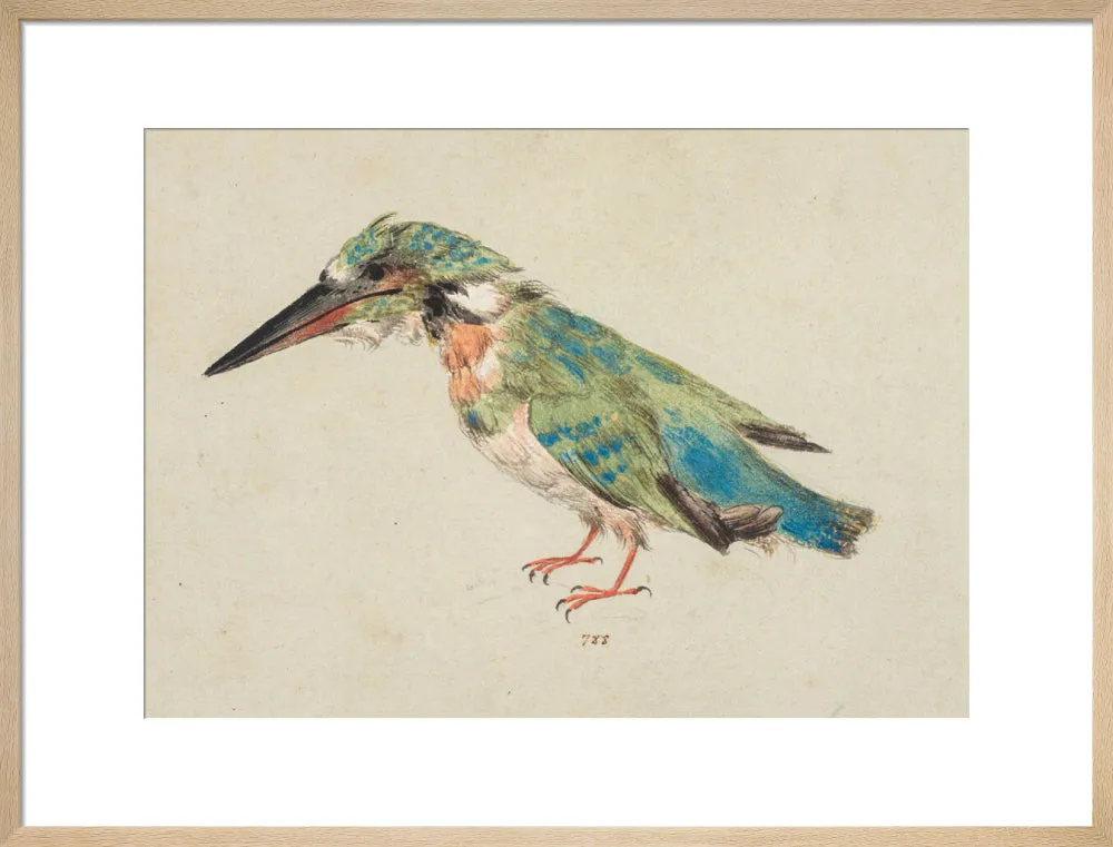 Italian School, Kingfisher