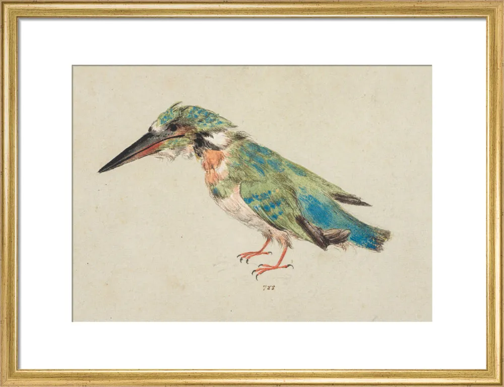 Italian School, Kingfisher
