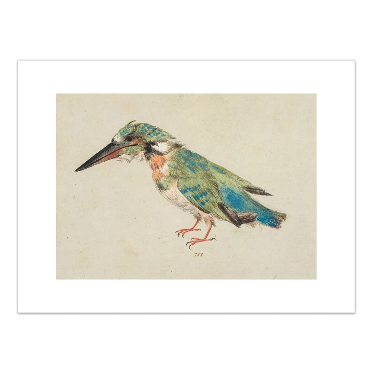 Italian School, Kingfisher