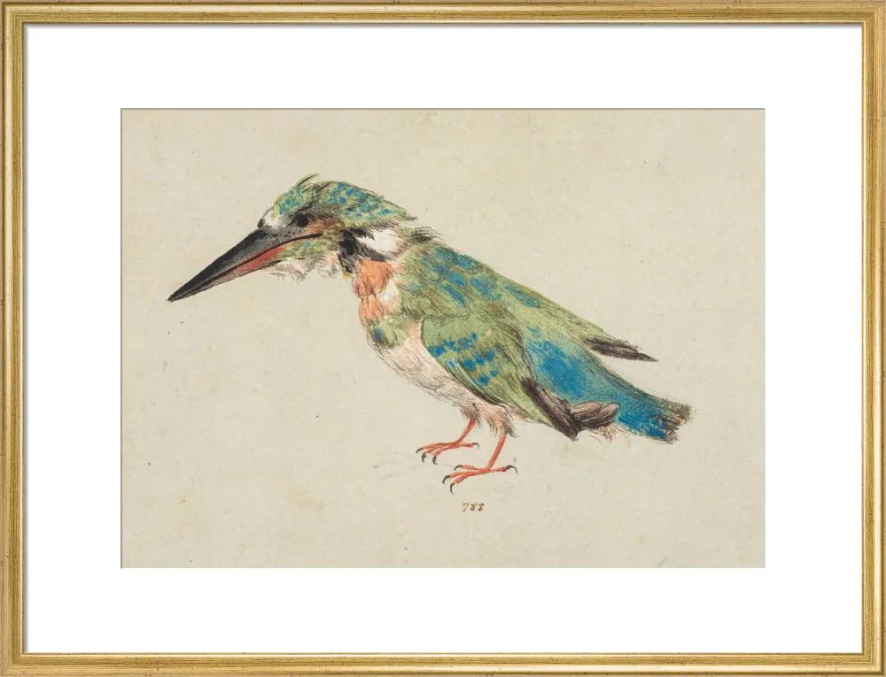 Italian School, Kingfisher