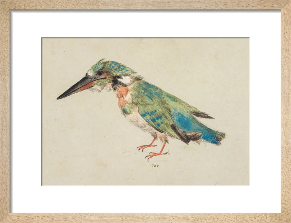 Italian School, Kingfisher