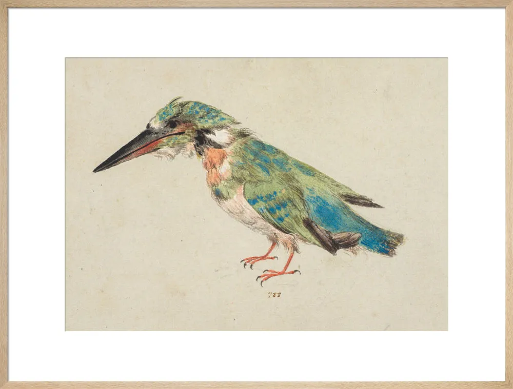 Italian School, Kingfisher