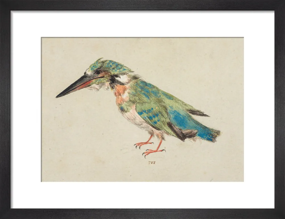 Italian School, Kingfisher