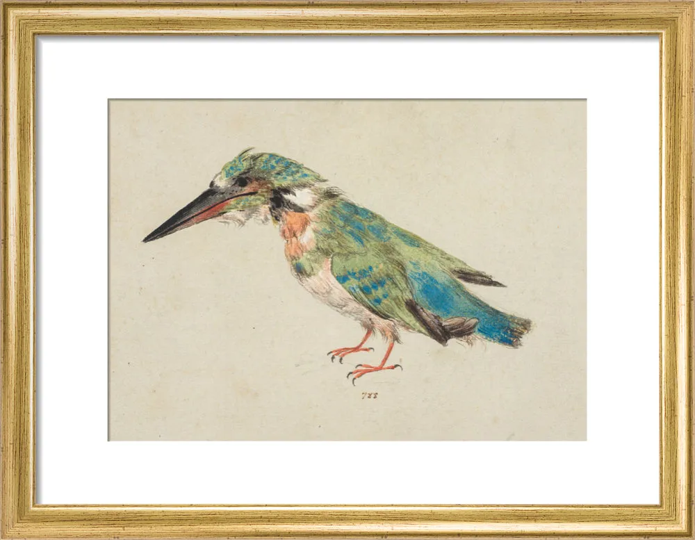 Italian School, Kingfisher