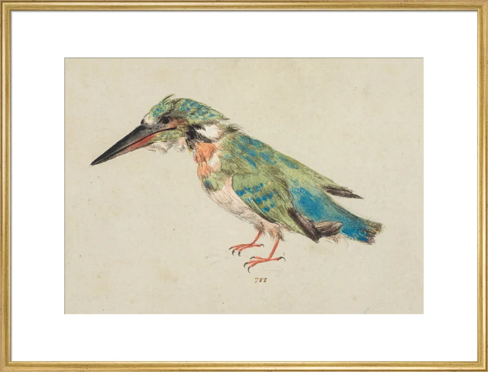 Italian School, Kingfisher