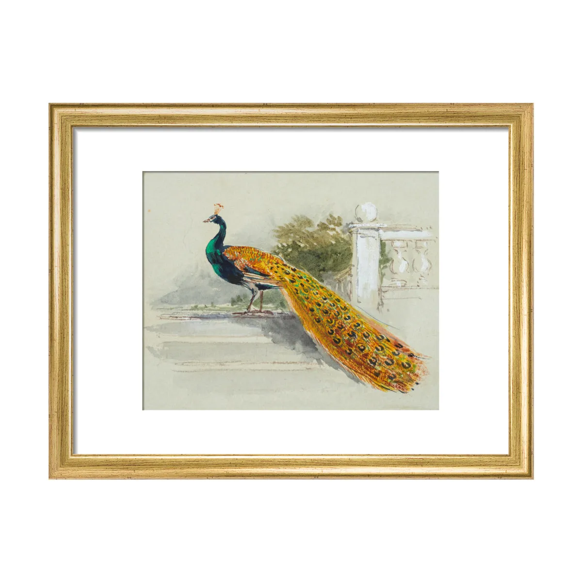 Myles Birket Foster, Peacock