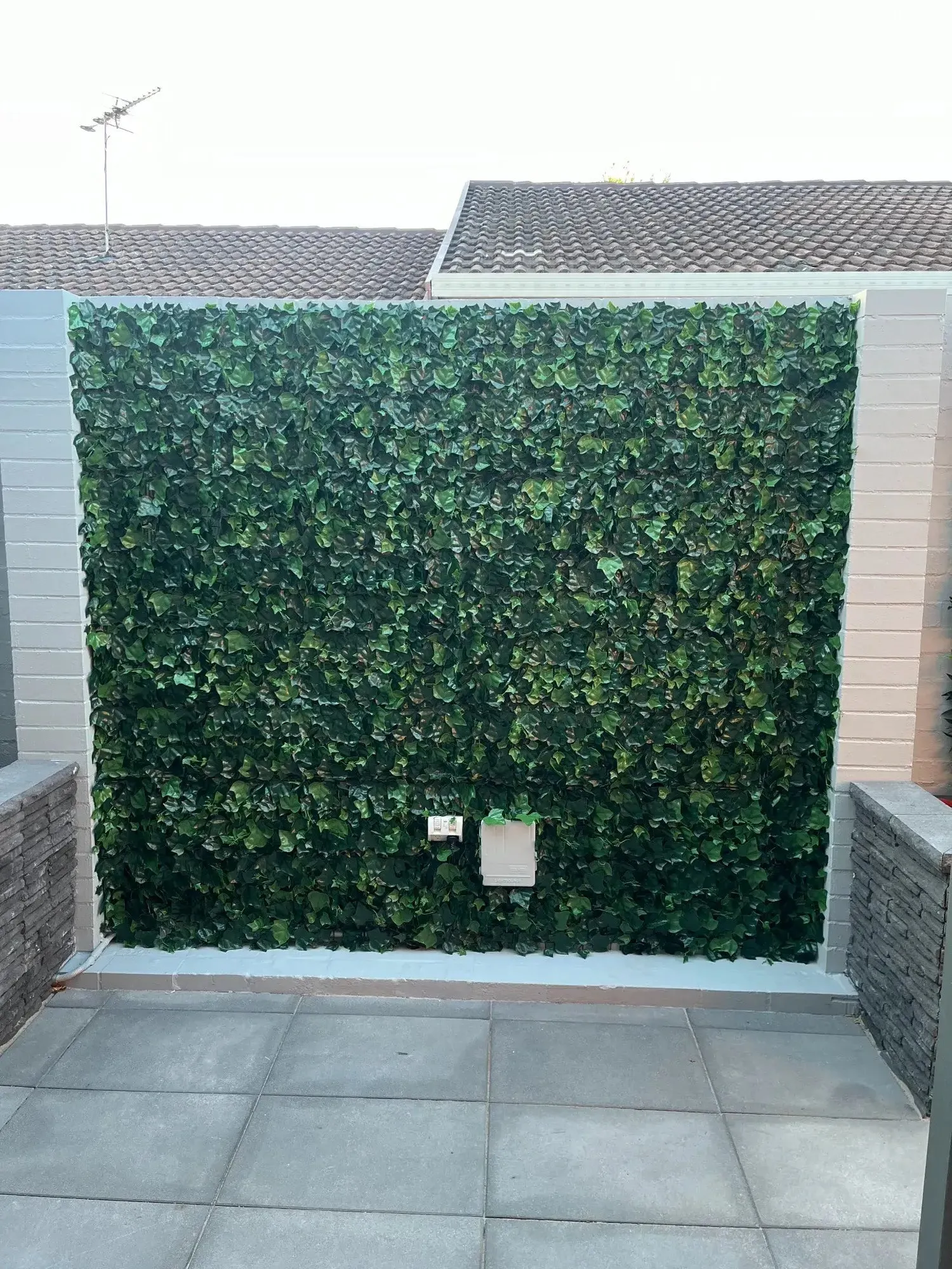 Variegated Boston Ivy Leaf Screen Green Wall Panel UV Resistant 1m X 1m (Solid Backing)